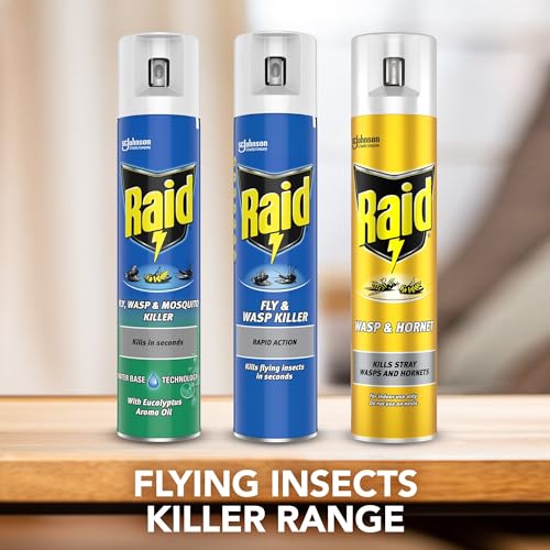 Raid Rapid Action Fly & Wasp Killer, Fly Killer Spray For Indoor Use, Pack of 6 (6 x 300ml)