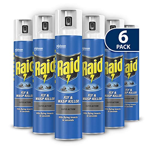 Raid Rapid Action Fly & Wasp Killer, Fly Killer Spray For Indoor Use, Pack of 6 (6 x 300ml)