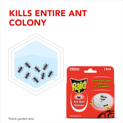 Raid Rapid Action Fly & Wasp Killer, Fly Killer Spray For Indoor Use, Pack of 6 (6 x 300ml)