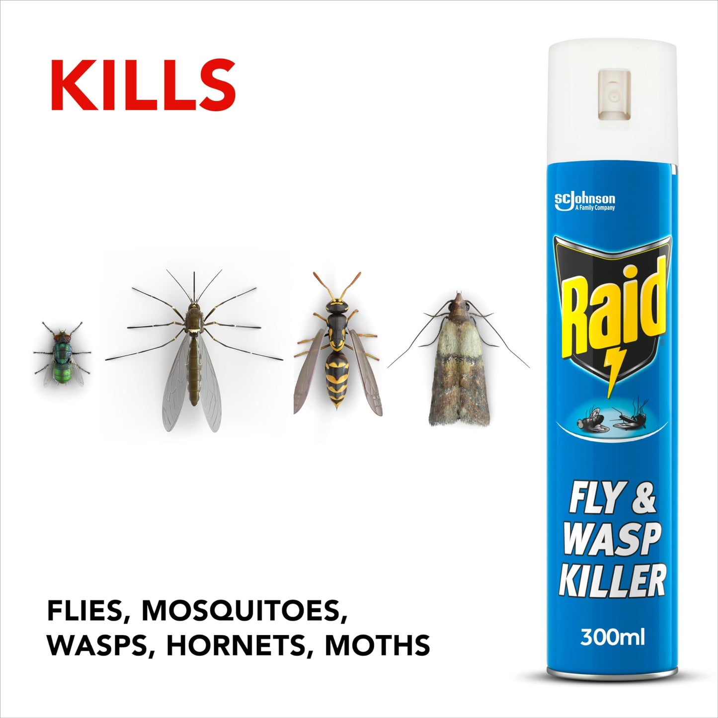 Raid Rapid Action Fly & Wasp Killer, Fly Killer Spray For Indoor Use, Pack of 6 (6 x 300ml)