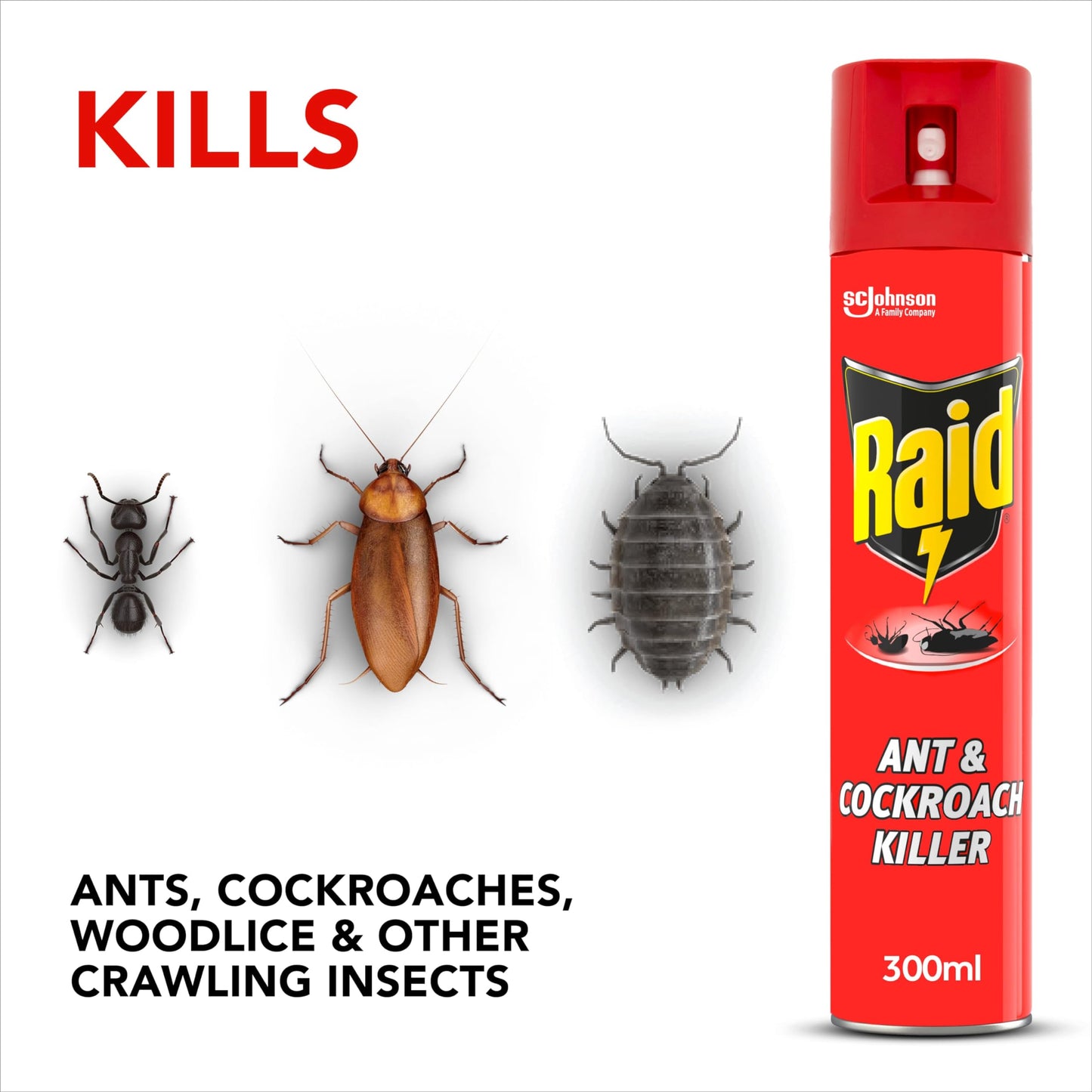 Raid Rapid Action Fly & Wasp Killer, Fly Killer Spray For Indoor Use, Pack of 6 (6 x 300ml)